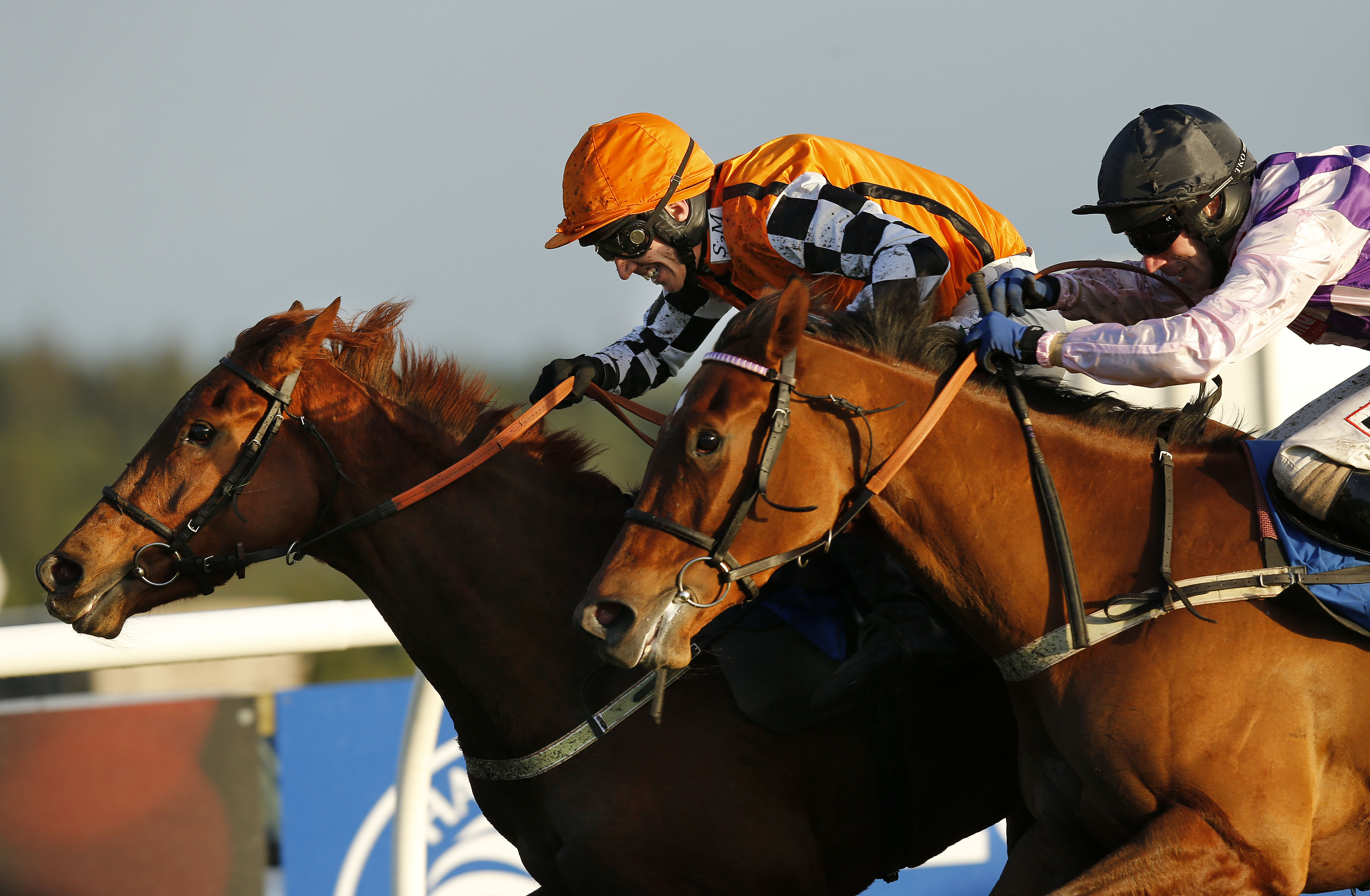 Exeter Racecourse Preview of tomorrow's runners The Exeter Daily