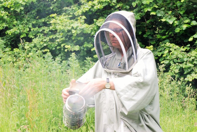 Learn all about the bees at Buckfast Abbey | The Exeter Daily