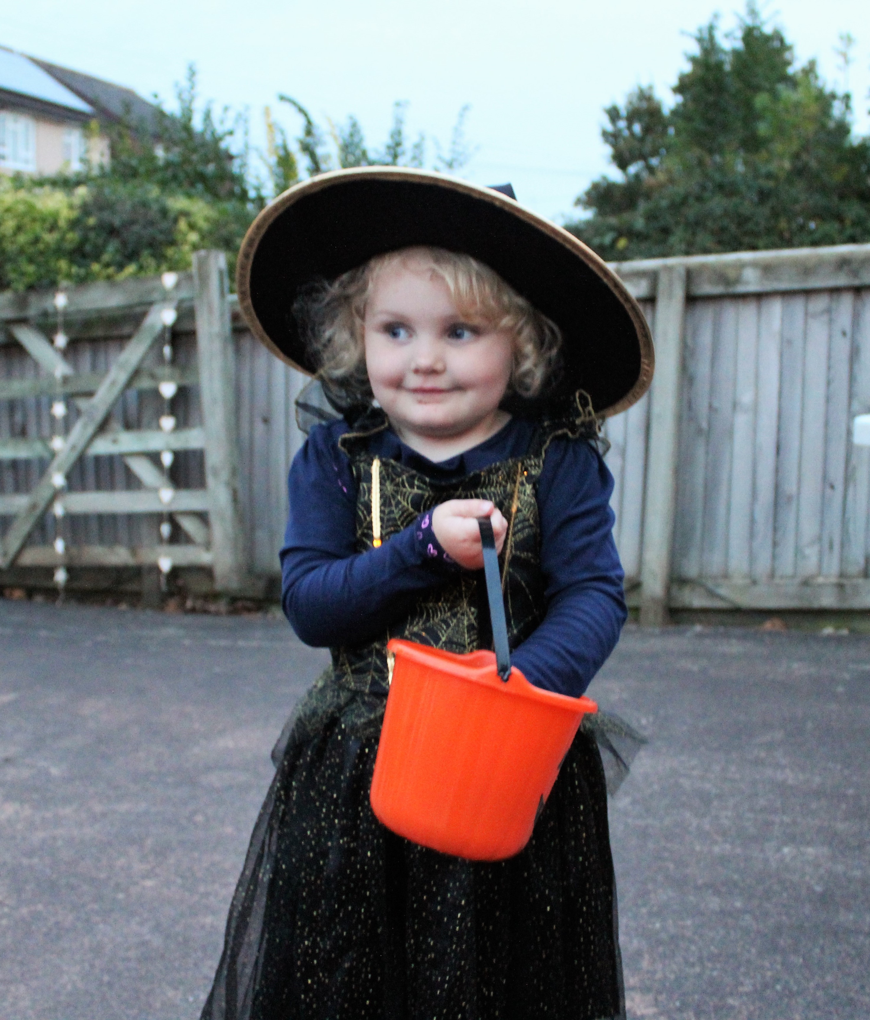 Hundreds of trick or treaters to Exeter home The Exeter Daily