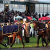 This Friday, February 21, Exeter Racecourse is calling all social butterflies and lovers of good old-fashioned fun to put a day at the races back on their agendas