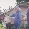 Helen Bowker with Cotely Christmas Reindeer 