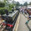 Celebrate South Devon's super-six Easter events this April including South Devon Railway's 50th anniversary gala