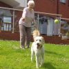 Cadogan Court resident Theresa Salter plays ball with Molly in the Home’s gardens.