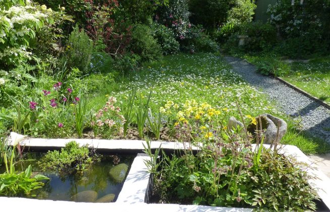 Wildlife pond in garden