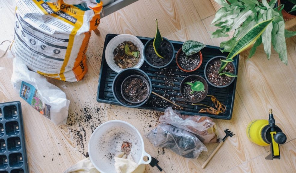 Practical Ways To Fund Your Gardening Business