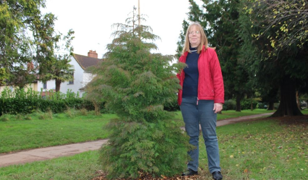 woman stand-in with tree in park