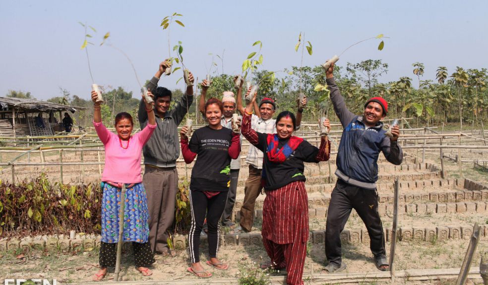 ‘The Billion Trees Project’ helps rebuild sustainable communities 