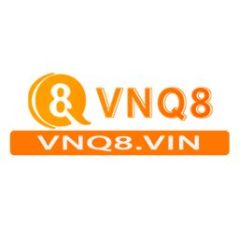 vnq8vin