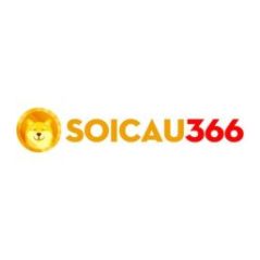 websoicau366org