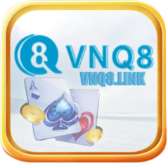 vnq8link