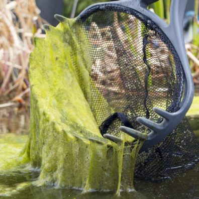 Interpet & Blagdon officially launch free online diagnostic tools for aquarium & pond keepers