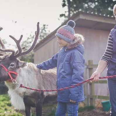 Helen Bowker with Cotely Christmas Reindeer 