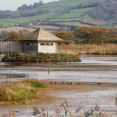 Seaton Wetlands